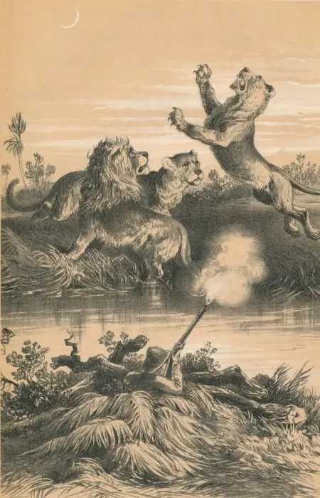 Framed Print : Lion Hunting At Night, c1880 Framed Print : Lion Hunting At Night, c1880