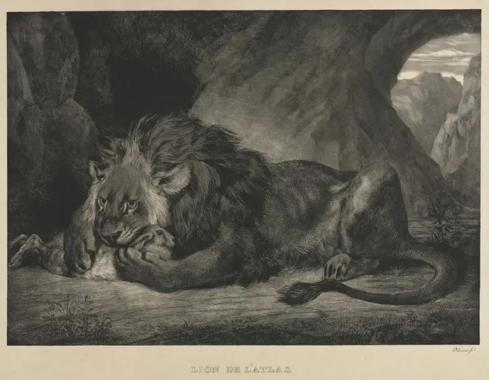 Framed Print : Lion de lAtlas, 1829. Creator: Eugene Delacroix (French, 1798-1863) Framed Print : Lion de lAtlas, 1829. Creator: Eugene Delacroix (French, 1798-1863)