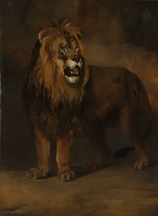 Framed Print : A Lion from the Menagerie of King Louis Napoleon, 1808, 1808. Creator: Pieter Gerardus van Os Framed Print : A Lion from the Menagerie of King Louis Napoleon, 1808, 1808. Creator: Pieter Gerardus van Os