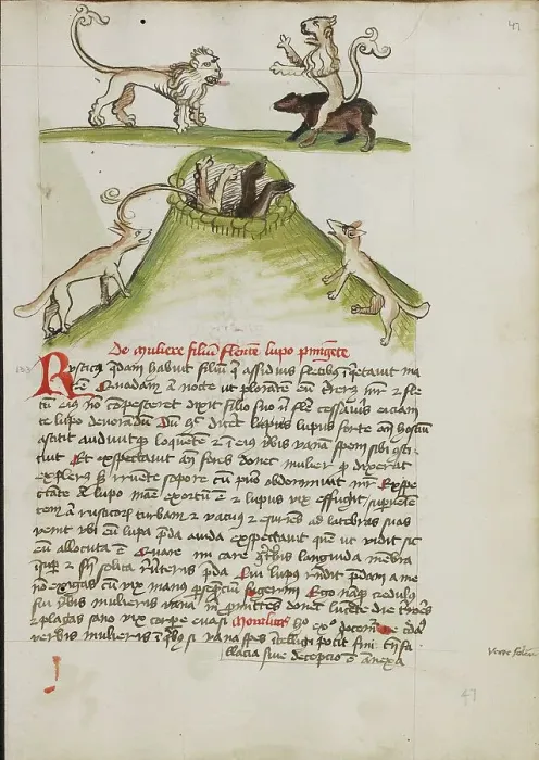 Framed Print : A Lion Standing on the Back of a Bear: Two Foxes in a Hole... third quarter of 15th century. Creator: Unknown Framed Print : A Lion Standing on the Back of a Bear: Two Foxes in a Hole... third quarter of 15th century. Creator: Unknown