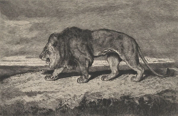 Lion walking, 1866-1897. Creator: Charles Courtry