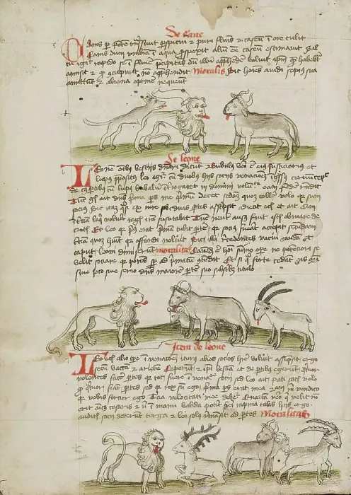 Framed Print : A Lion between a Wolf and an Ox: A Lion before a Cow, a Ram and... third quarter of 15th century. Creator: Unknown Framed Print : A Lion between a Wolf and an Ox: A Lion before a Cow, a Ram and... third quarter of 15th century. Creator: Unknown