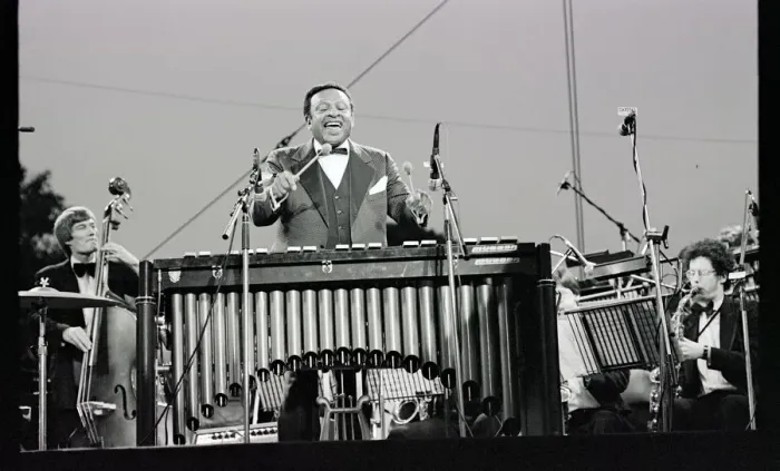 Framed Print : Lionel Hampton, Knebworth, 1982. Artist: Brian O Connor Framed Print : Lionel Hampton, Knebworth, 1982. Artist: Brian O Connor