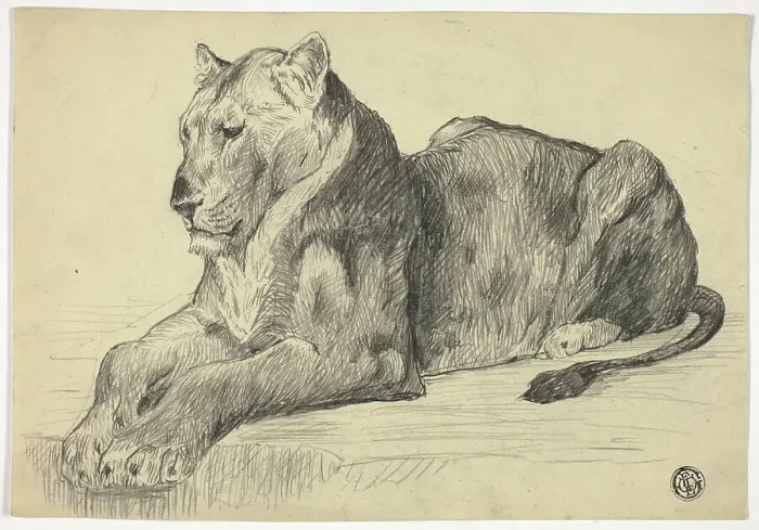 Framed Print : Lioness, n.d. Creator: Edwin Henry Landseer Framed Print : Lioness, n.d. Creator: Edwin Henry Landseer