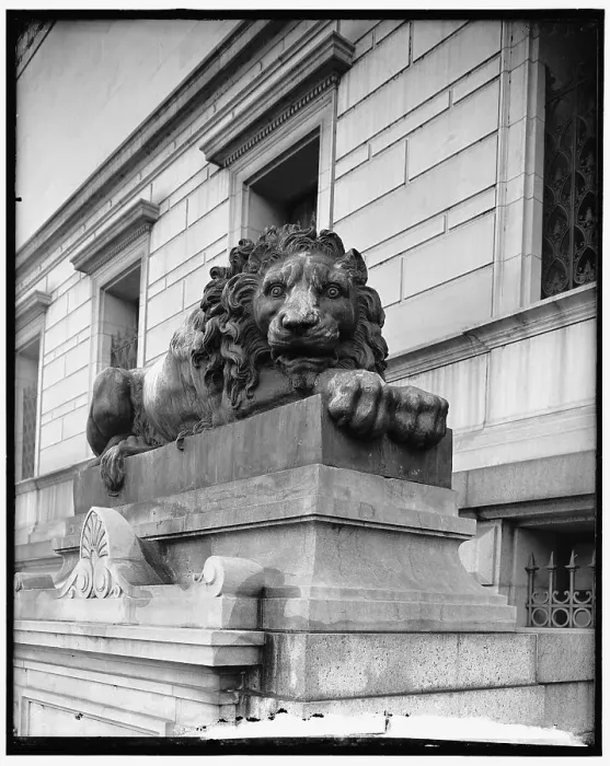 Framed Print : Lions at Corcoran Art Gallery, between 1910 and 1920. Creator: Harris & Ewing. Lions at Corcoran Art Gallery, between 1910 and 1920. Creator: Harris & Ewing Framed Print : Lions at Corcoran Art Gallery, between 1910 and 1920. Creator: Harris & Ewing. Lions at Corcoran Art Gallery, between 1910 and 1920. Creator: Harris & Ewing