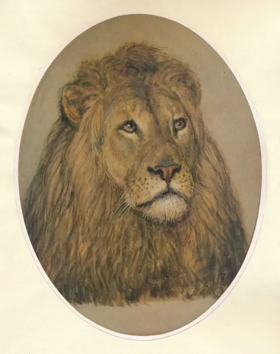 Framed Print : Lions Head, c1896. Artist: Frank Paton Framed Print : Lions Head, c1896. Artist: Frank Paton