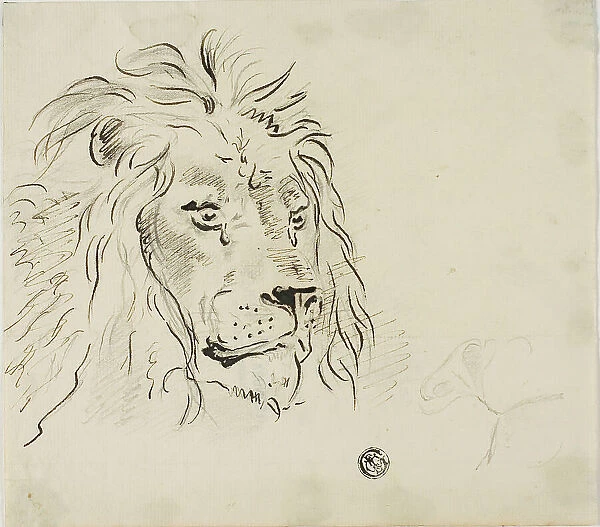 Lion's Head, n.d. Creator: Sawrey Gilpin