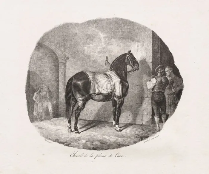 Framed Print : Lithographed Studies of Horses: Pl. 7, Horse from the Caen Plain, 1822 Framed Print : Lithographed Studies of Horses: Pl. 7, Horse from the Caen Plain, 1822