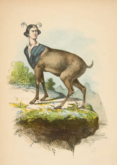 Framed Print : Little Dear, from The Comic Natural History of the Human Race, 1851 Framed Print : Little Dear, from The Comic Natural History of the Human Race, 1851