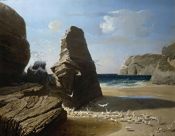 The Little Seagulls, 1858