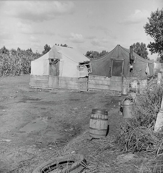 Living conditions of the migrant agricultural workers...Tulare County, 1938. Creator: Dorothea Lange
