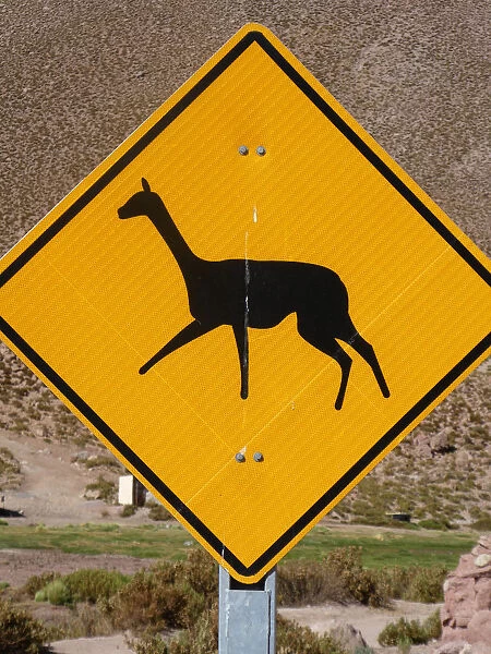 Llama warning road sign in Chile 2019. Creator: Unknown
