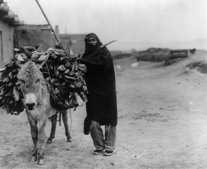 Framed Print : A load of fuel-Zuni, c1903. Creator: Edward Sheriff Curtis Framed Print : A load of fuel-Zuni, c1903. Creator: Edward Sheriff Curtis