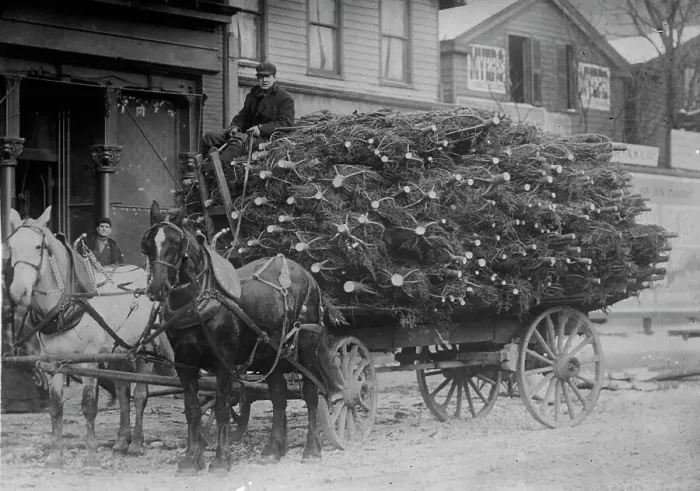 Framed Print : Load of Xmas trees, N.Y. between c1910 and c1915. Creator: Bain News Service Framed Print : Load of Xmas trees, N.Y. between c1910 and c1915. Creator: Bain News Service