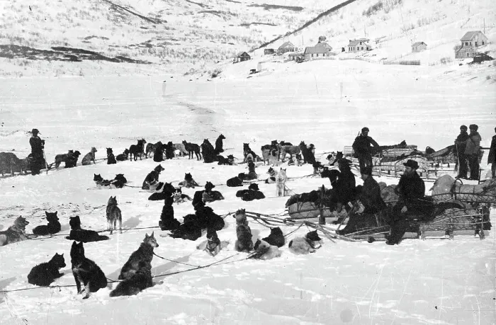 Framed Print : Loaded dog sleds on Petropavlovsk-Kamchatsky Square, 1910-1929. Creator: Ivan Emelianovich Larin Framed Print : Loaded dog sleds on Petropavlovsk-Kamchatsky Square, 1910-1929. Creator: Ivan Emelianovich Larin