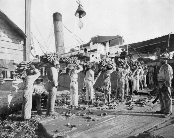 Framed Print : Loading bananas, Port Antonio, Jamaica, c1905. Artist: Adolphe Duperly & Son Framed Print : Loading bananas, Port Antonio, Jamaica, c1905. Artist: Adolphe Duperly & Son