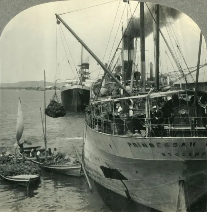 Framed Print : Loading Bananas on Ship in Harbor, Santos, Brazil, c1930s. Creator: Unknown Framed Print : Loading Bananas on Ship in Harbor, Santos, Brazil, c1930s. Creator: Unknown