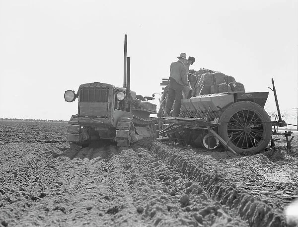 Loading bins of potato planter with fertilizer and seed... Kern County, California, 1939. Creator: Dorothea Lange