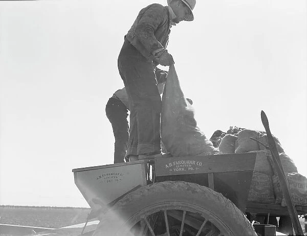 Loading bins of potato planter with fertilizer and seed... Kern County, California, 1939. Creator: Dorothea Lange