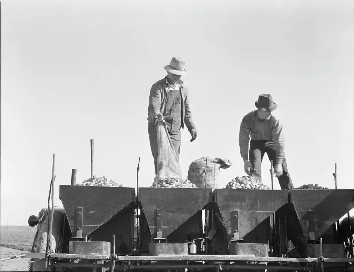Framed Print : Loading bins of potato planter with fertilizer and seed from trailer... Kern County, CA, 1939. Creator: Dorothea Lange