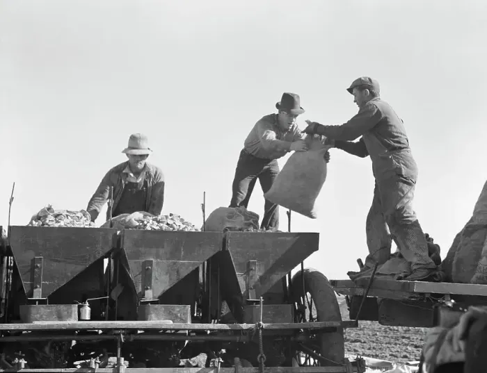 Framed Print : Loading bins of potato planter which fertilizes and plants potatoes... Kern County, CA, 1939. Creator: Dorothea Lange