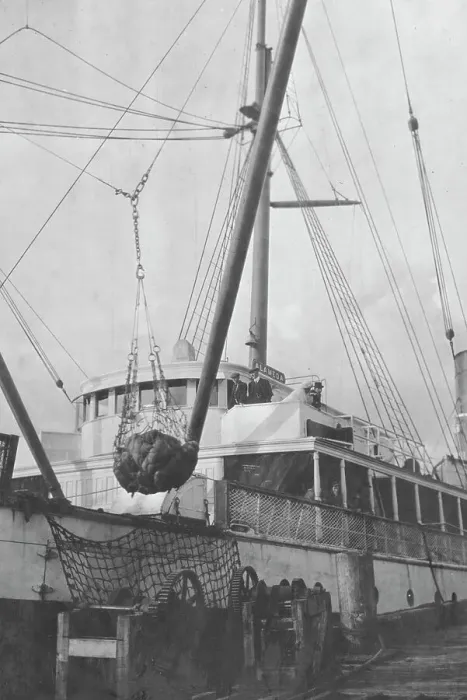 Framed Print : Loading copper on ship, between c1900 and 1916. Creator: Unknown Framed Print : Loading copper on ship, between c1900 and 1916. Creator: Unknown