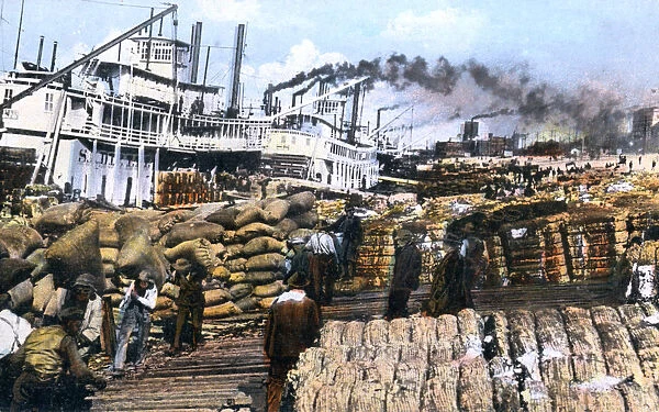 Loading cotton onto a ship, Memphis, Tennessee, USA, c1900s