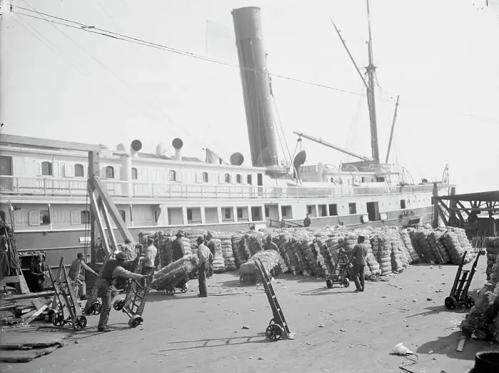 Framed Print : Loading cotton into a steamer, Savannah, Ga. c1904. Creator: Unknown Framed Print : Loading cotton into a steamer, Savannah, Ga. c1904. Creator: Unknown