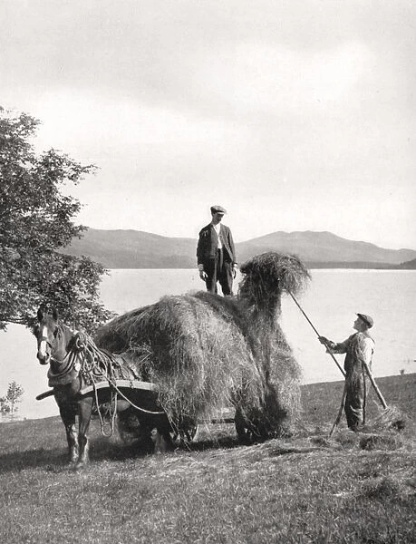 Loading hay onto a wagon on the shores of Loch Lomond, Scotland, 1924-1926. Artist: Donald McLeish