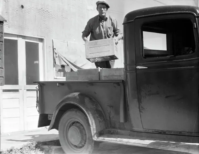 Framed Print : Loading milk at the self-help cooperative dairy, near Santa Ana, California, 1936. Creator: Dorothea Lange Framed Print : Loading milk at the self-help cooperative dairy, near Santa Ana, California, 1936. Creator: Dorothea Lange