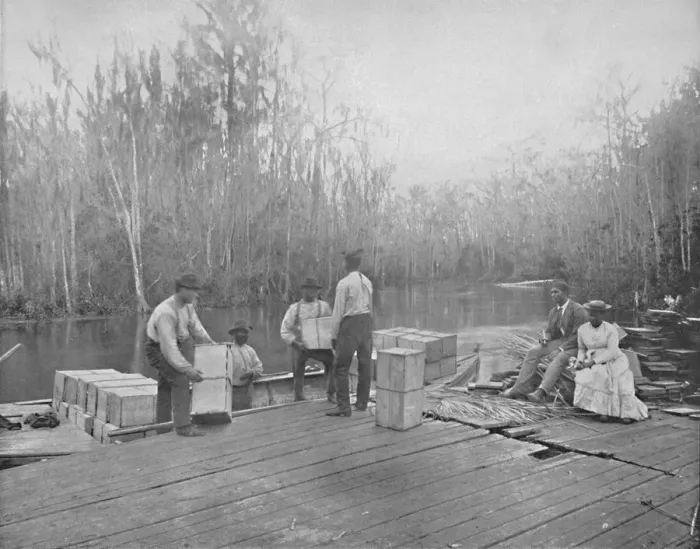 Framed Print : Loading Oranges on the Ocklawaha River, Florida, c1897. Creator: Unknown Framed Print : Loading Oranges on the Ocklawaha River, Florida, c1897. Creator: Unknown