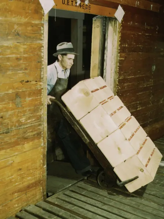 Framed Print : Loading oranges into refrigerator car at a co-op orange packing plant, 1943. Creator: Jack Delano Framed Print : Loading oranges into refrigerator car at a co-op orange packing plant, 1943. Creator: Jack Delano