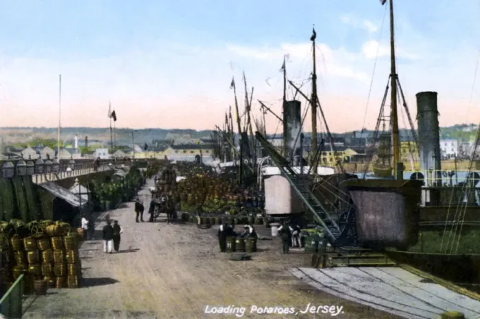 Framed Print : Loading Potatoes, Jersey, 1908 Framed Print : Loading Potatoes, Jersey, 1908