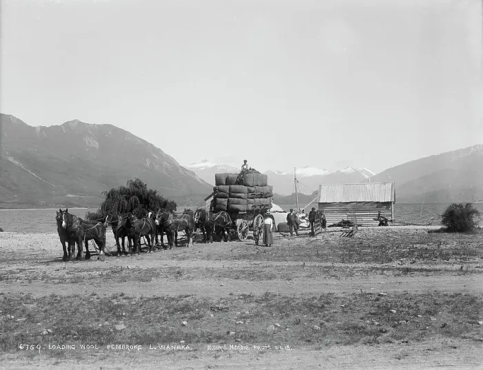 Framed Print : Loading wool, Pembroke, Lake Wanaka, New Zealand. Creator: Muir & Moodie Framed Print : Loading wool, Pembroke, Lake Wanaka, New Zealand. Creator: Muir & Moodie