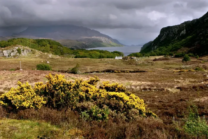 Framed Print : Loch Maree, Highland, Scotland Framed Print : Loch Maree, Highland, Scotland