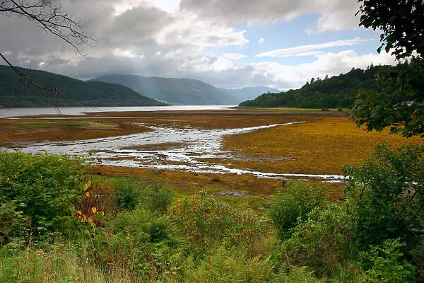 Loch Sunart from Strontian, Highland, Scotland