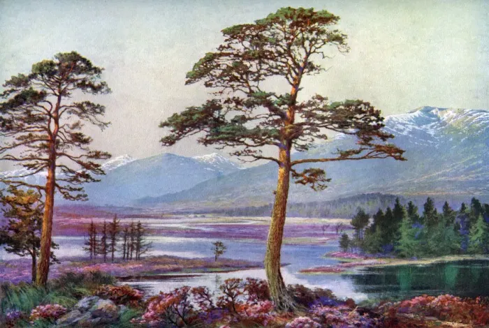 Framed Print : On Loch Tulla, Black Mount, Argyllshire, Scotland, 1924-1926. Artist: FC Varley Framed Print : On Loch Tulla, Black Mount, Argyllshire, Scotland, 1924-1926. Artist: FC Varley