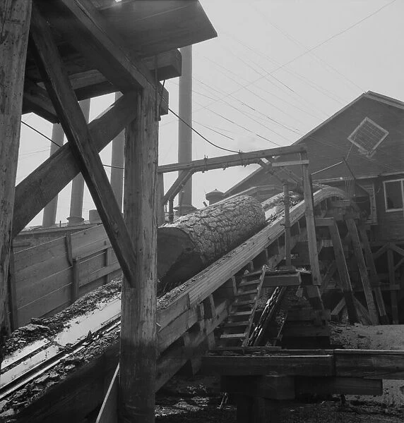 Log chute at Pelican Bay Lumber Company mill, Near Klamath Falls, Oregon, 1939. Creator: Dorothea Lange
