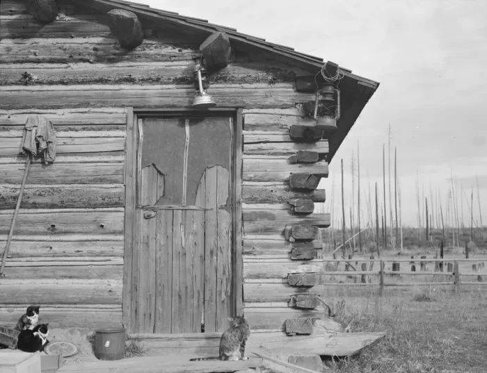 Framed Print : Log home - farm established six years ago, Priest River Peninsula, Bonner County, Idaho, 1939. Creator: Dorothea Lange Framed Print : Log home - farm established six years ago, Priest River Peninsula, Bonner County, Idaho, 1939. Creator: Dorothea Lange