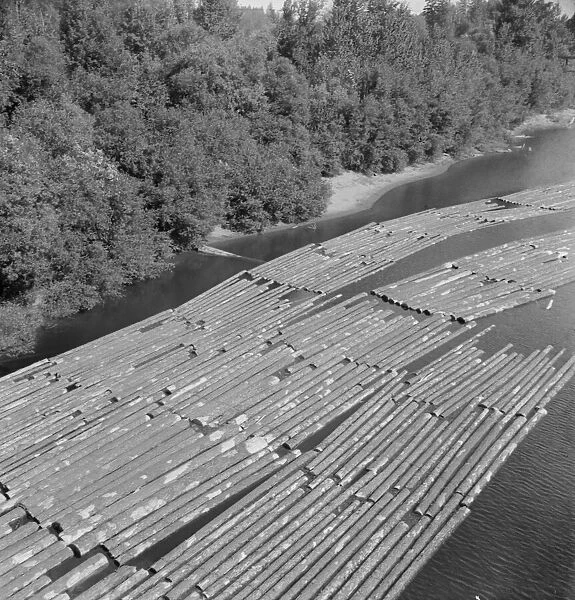 Log rafts on the Williamette River between Salem and Independence, Oregon, 1939. Creator: Dorothea Lange