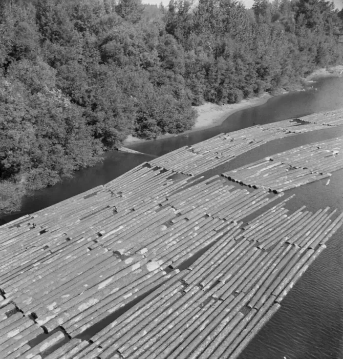 Framed Print : Log rafts on the Williamette River between Salem and Independence, Oregon, 1939. Creator: Dorothea Lange