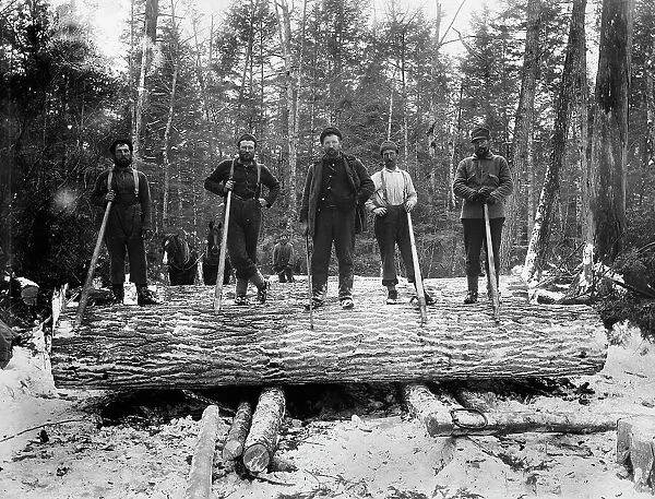 The Loggers, between 1880 and 1899. Creator: Unknown