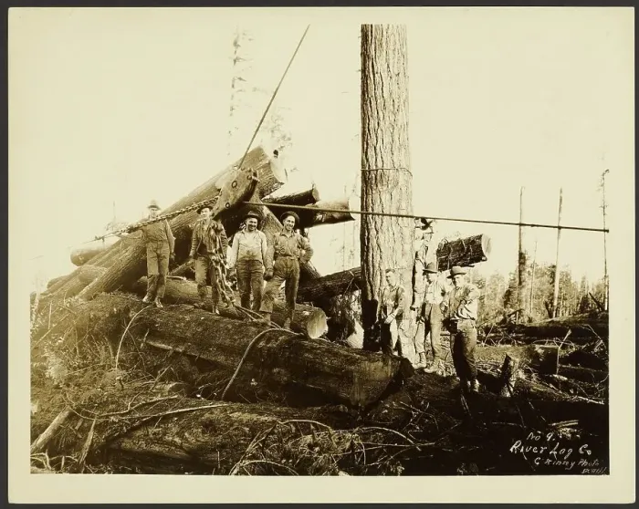 Framed Print : Loggers, about 1910-1945. Creator: Darius Kinsey