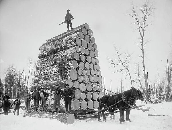 Logging a big load, between 1880 and 1899. Creator: Unknown
