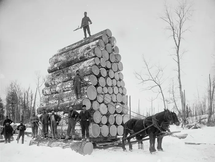 Framed Print : Logging a big load, between 1880 and 1899. Creator: Unknown Framed Print : Logging a big load, between 1880 and 1899. Creator: Unknown