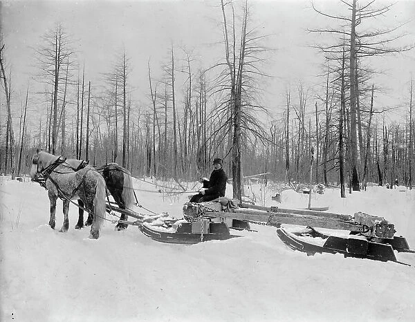Logging in Michigan, the sled, between 1880 and 1899. Creator: Unknown