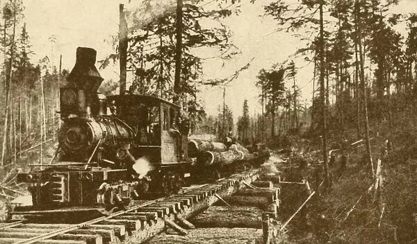 A Logging Railway, British Coumbia, 1930. Creator: ENA