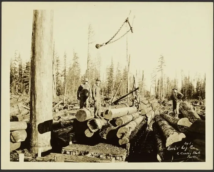 Framed Print : Logging / Timber Scene, about 1910-1945. Creator: Darius Kinsey Framed Print : Logging / Timber Scene, about 1910-1945. Creator: Darius Kinsey
