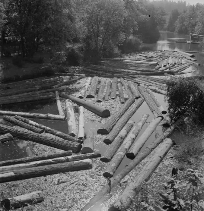 Framed Print : Logs at sawmill on Marys River near Corvallis, Oregon, 1939. Creator: Dorothea Lange Framed Print : Logs at sawmill on Marys River near Corvallis, Oregon, 1939. Creator: Dorothea Lange