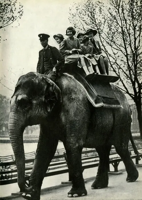 Framed Print : At the London Zoo - enjoying a ride on an elephant, 1939, (1947). Creator: Unknown Framed Print : At the London Zoo - enjoying a ride on an elephant, 1939, (1947). Creator: Unknown
